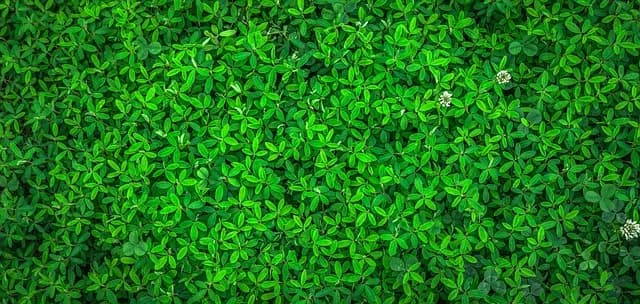 10 inspiracji na nowoczesne projekty domów ekokosmicznych
